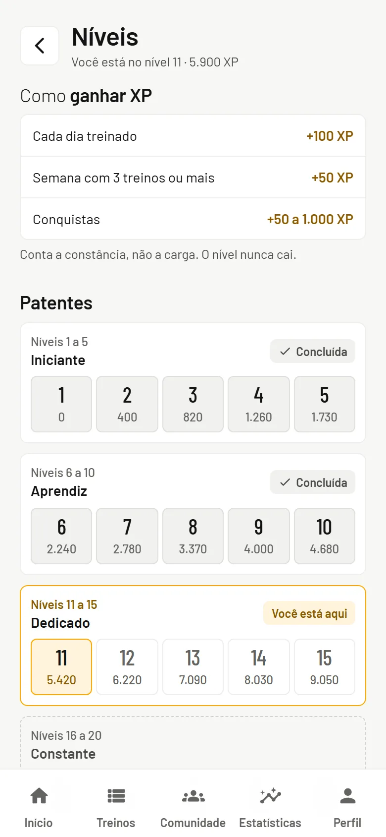 Níveis com o XP de cada ação e as patentes, do Iniciante ao Dedicado
